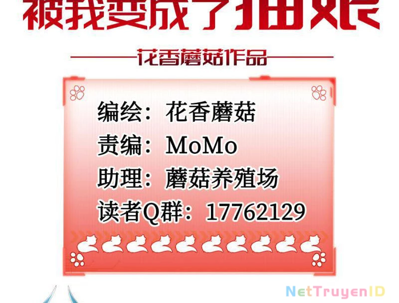 Ta biến thành miêu nương Chapter 2 - Trang 2