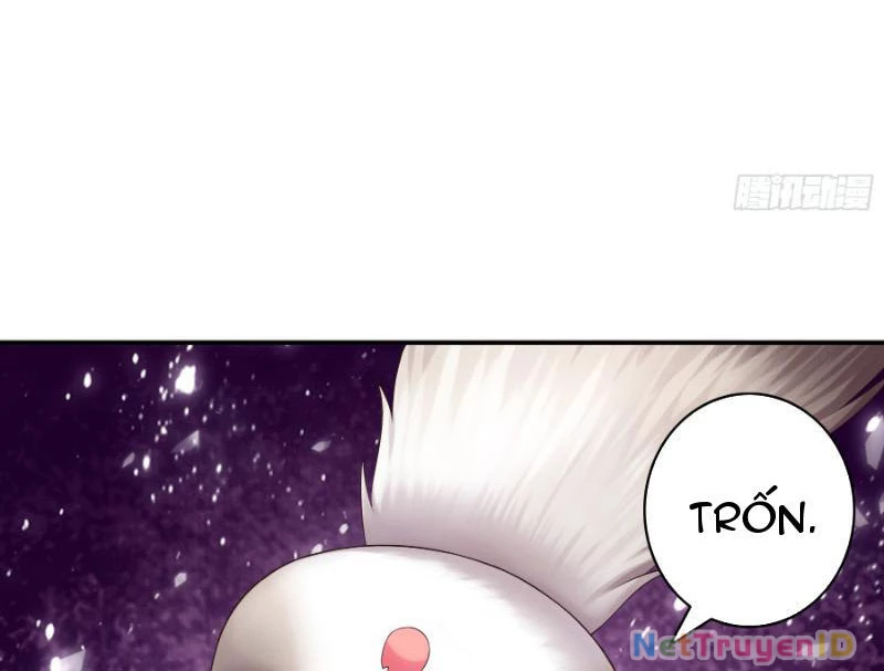 Ta biến thành miêu nương Chapter 2 - Trang 2