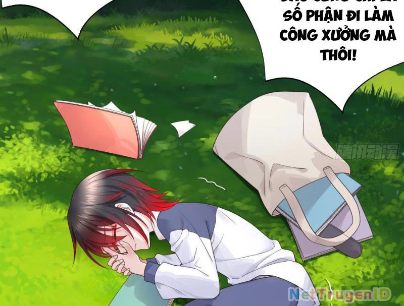 Ta biến thành miêu nương Chapter 2 - Trang 2