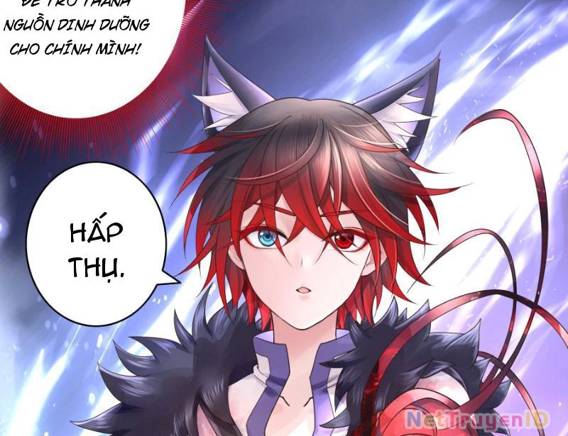 Ta biến thành miêu nương Chapter 2 - Trang 2