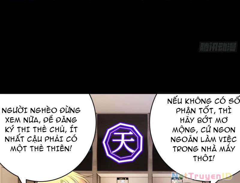 Ta biến thành miêu nương Chapter 3 - Trang 2