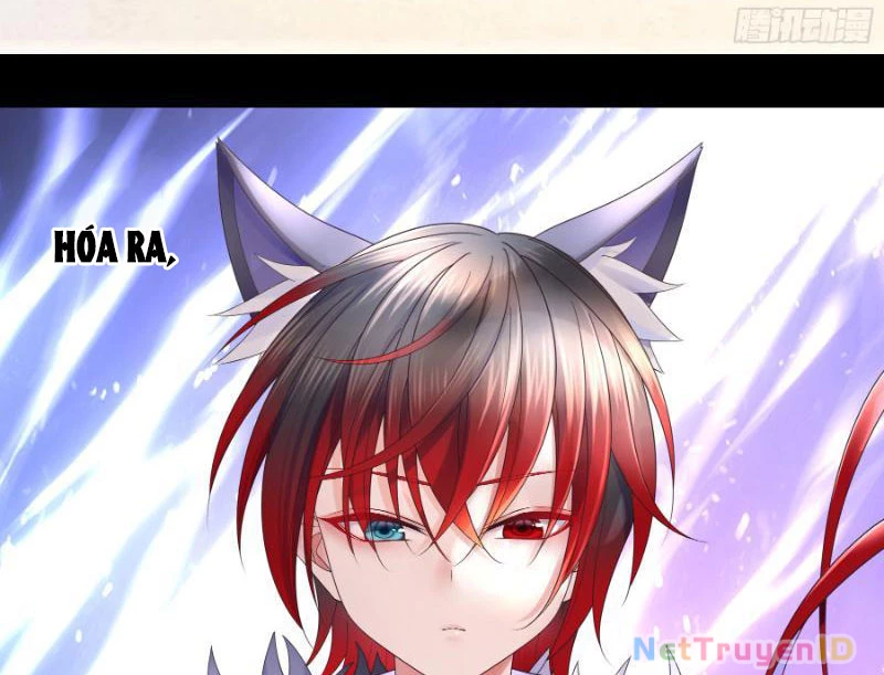 Ta biến thành miêu nương Chapter 3 - Trang 2