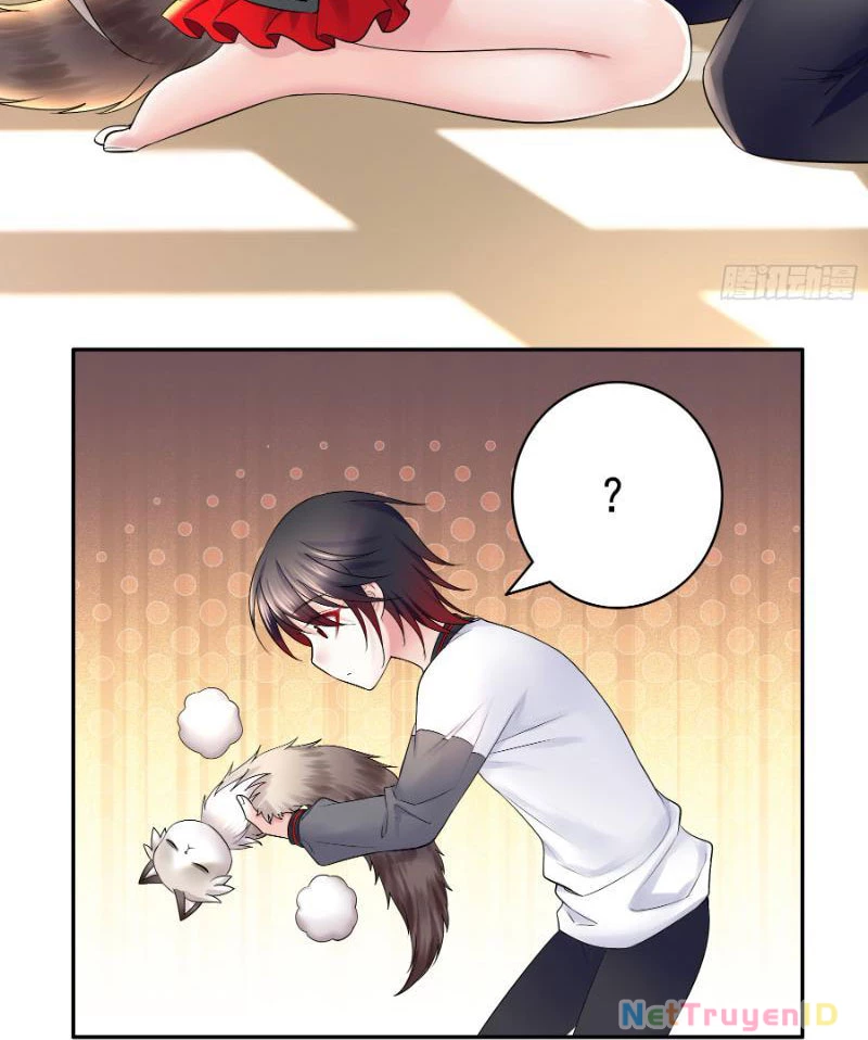 Ta biến thành miêu nương Chapter 5 - Trang 2
