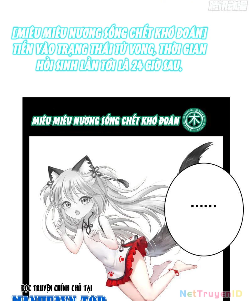 Ta biến thành miêu nương Chapter 5 - Trang 2