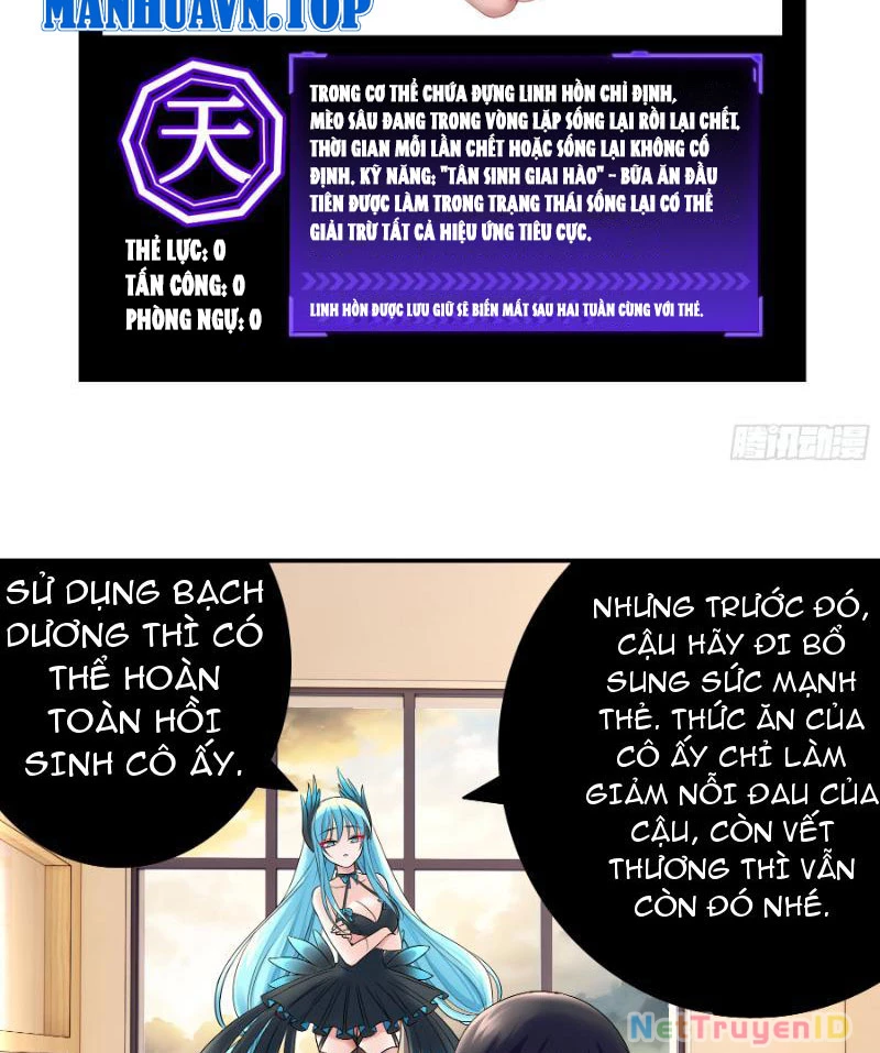 Ta biến thành miêu nương Chapter 5 - Trang 2