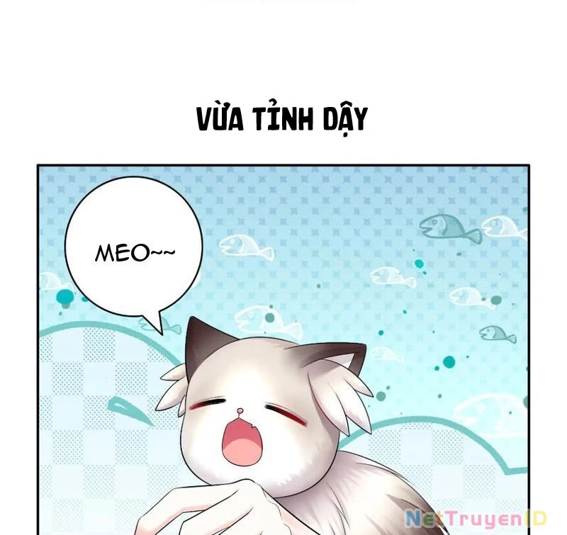 Ta biến thành miêu nương Chapter 9 - 23