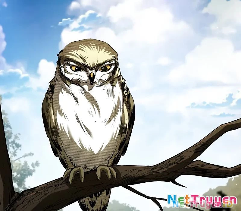 Vô Hồn Bất Kính Giả Dạ Chapter 8 - 196