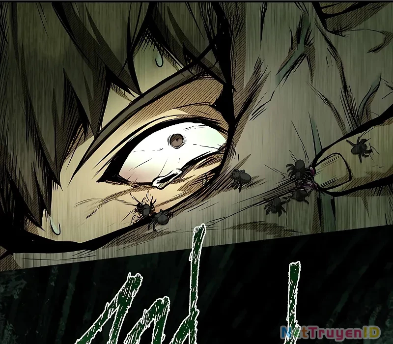 Vô Hồn Bất Kính Giả Dạ Chapter 15 - Trang 2