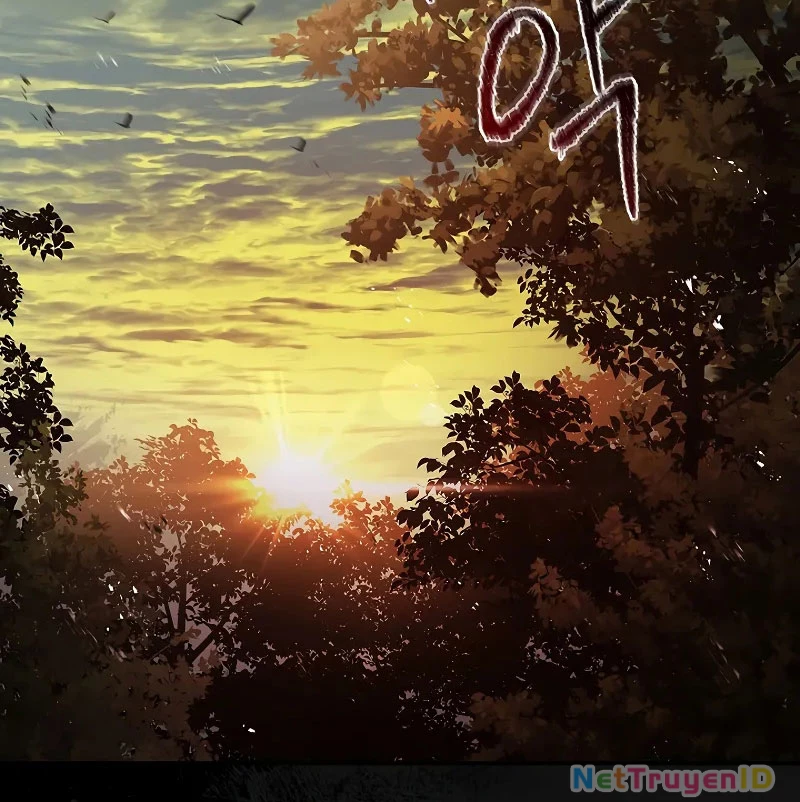 Vô Hồn Bất Kính Giả Dạ Chapter 18 - Trang 2