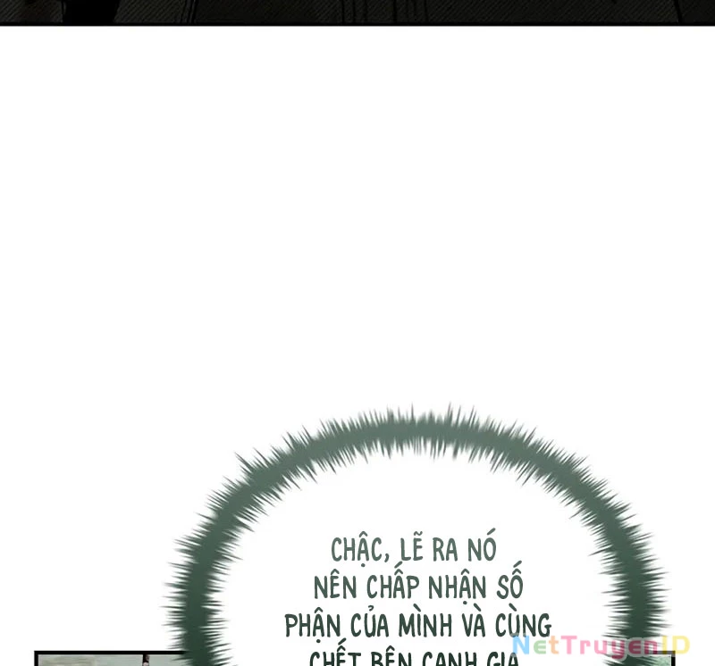 Vô Hồn Bất Kính Giả Dạ Chapter 19 - Trang 2