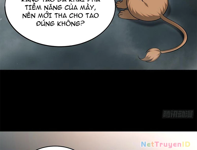 Huyễn Thú Của Ta Có Thể Tiến Hóa Vô Hạn Chapter 3 - 70