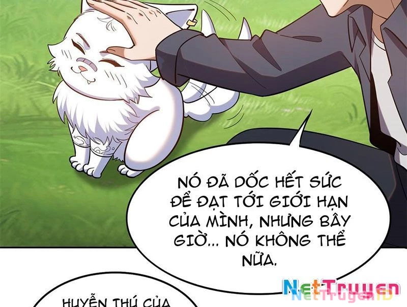 Huyễn Thú Của Ta Có Thể Tiến Hóa Vô Hạn Chapter 3 - 106