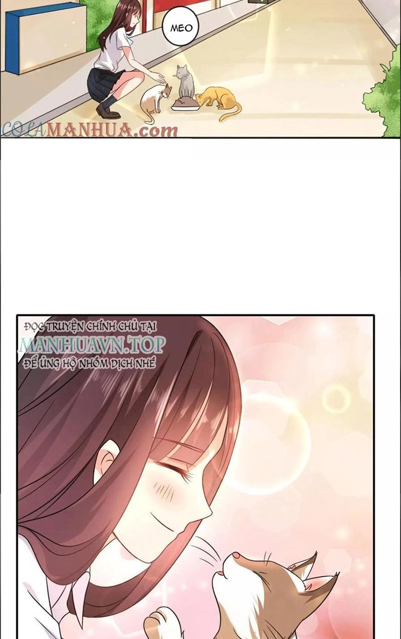 Bạn Cùng Bàn Của Tôi Nổi Tiếng Là Mèo Chapter 1 - 27