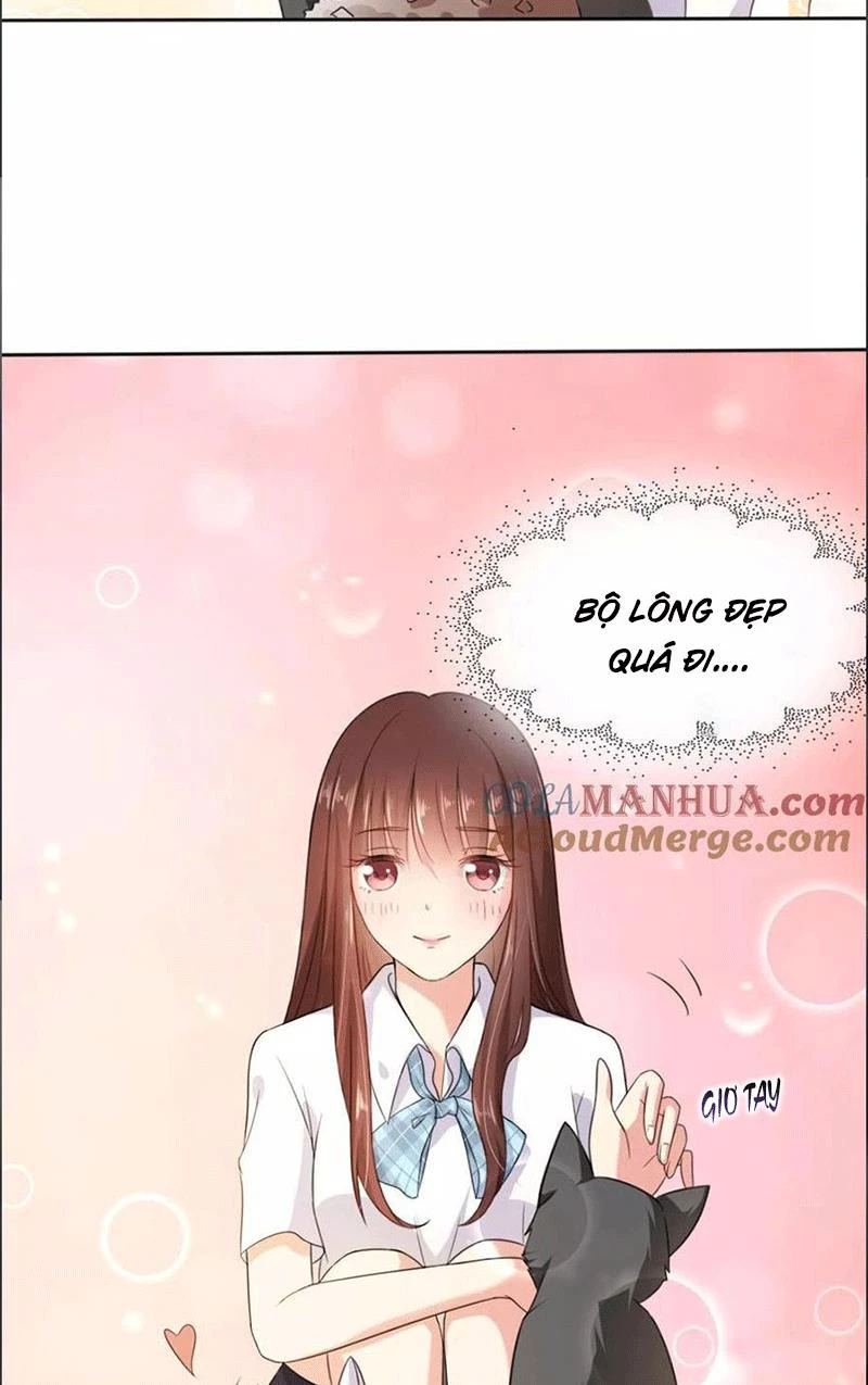 Bạn Cùng Bàn Của Tôi Nổi Tiếng Là Mèo Chapter 1 - 36
