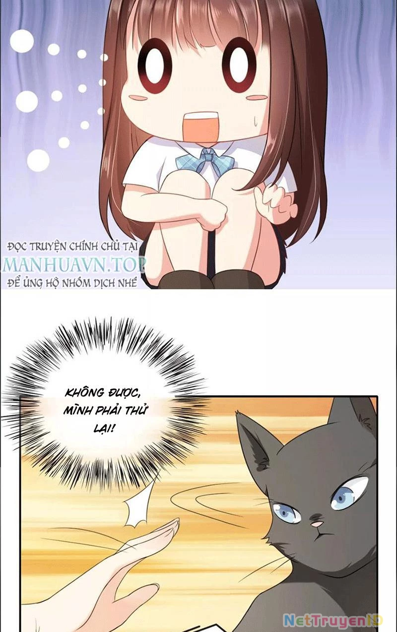 Bạn Cùng Bàn Của Tôi Nổi Tiếng Là Mèo Chapter 1 - 38