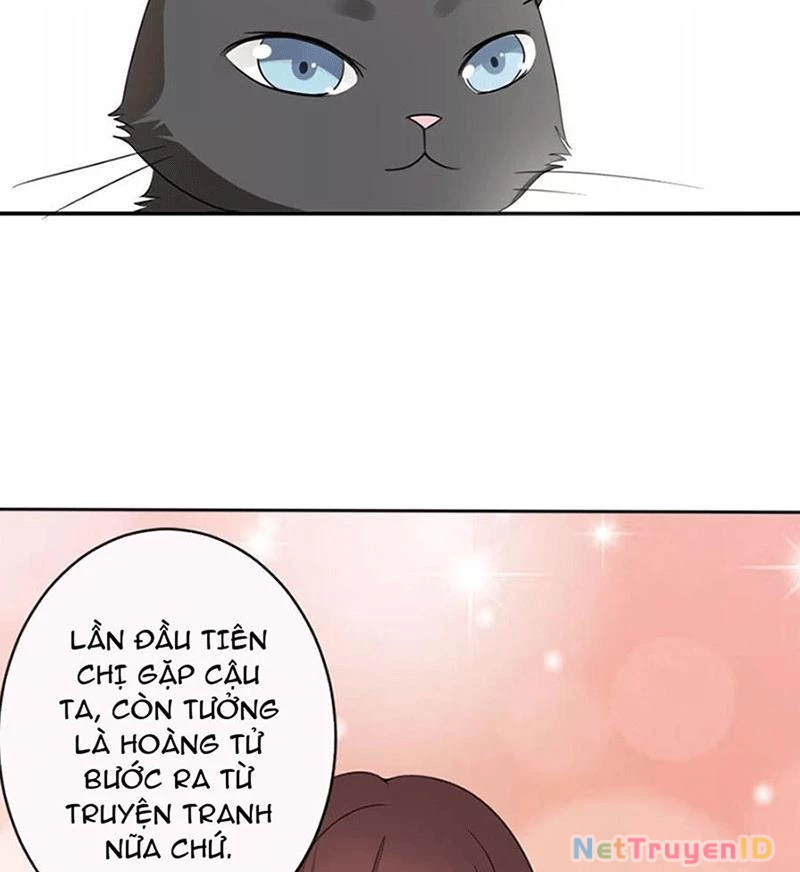 Bạn Cùng Bàn Của Tôi Nổi Tiếng Là Mèo Chapter 1 - 48