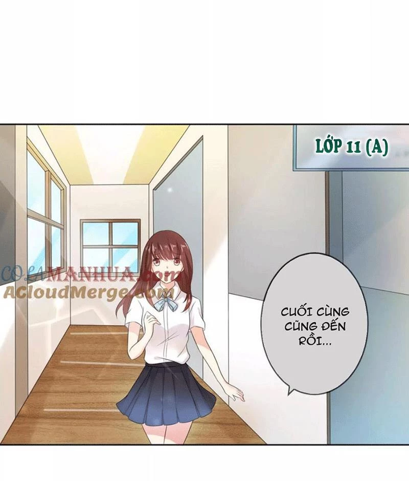 Bạn Cùng Bàn Của Tôi Nổi Tiếng Là Mèo Chapter 2 - 13