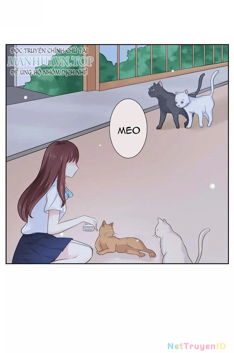 Bạn Cùng Bàn Của Tôi Nổi Tiếng Là Mèo Chapter 3 - 2