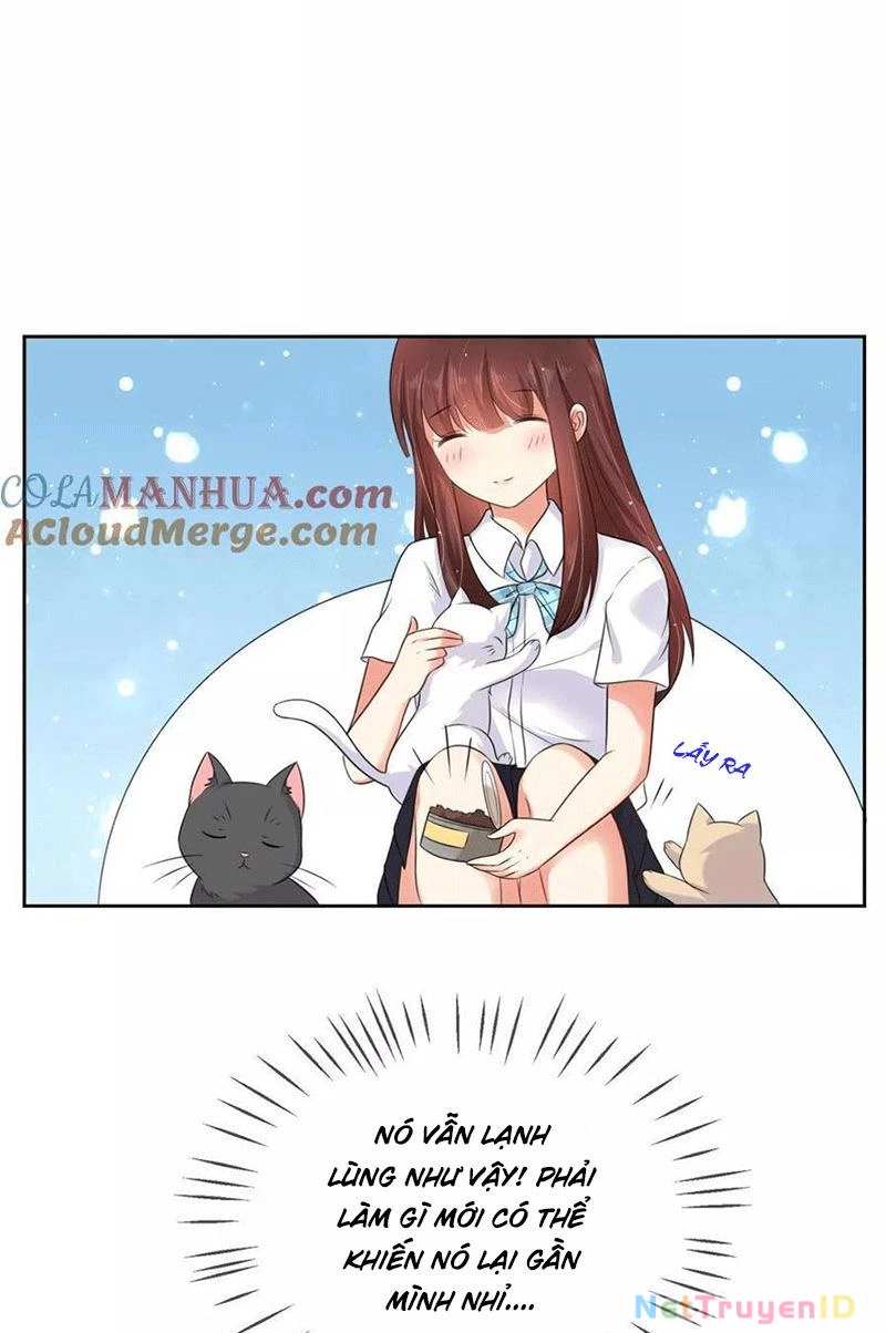 Bạn Cùng Bàn Của Tôi Nổi Tiếng Là Mèo Chapter 3 - 5