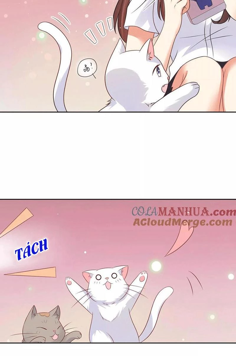 Bạn Cùng Bàn Của Tôi Nổi Tiếng Là Mèo Chapter 3 - 7