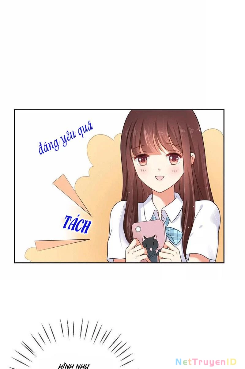 Bạn Cùng Bàn Của Tôi Nổi Tiếng Là Mèo Chapter 3 - 8