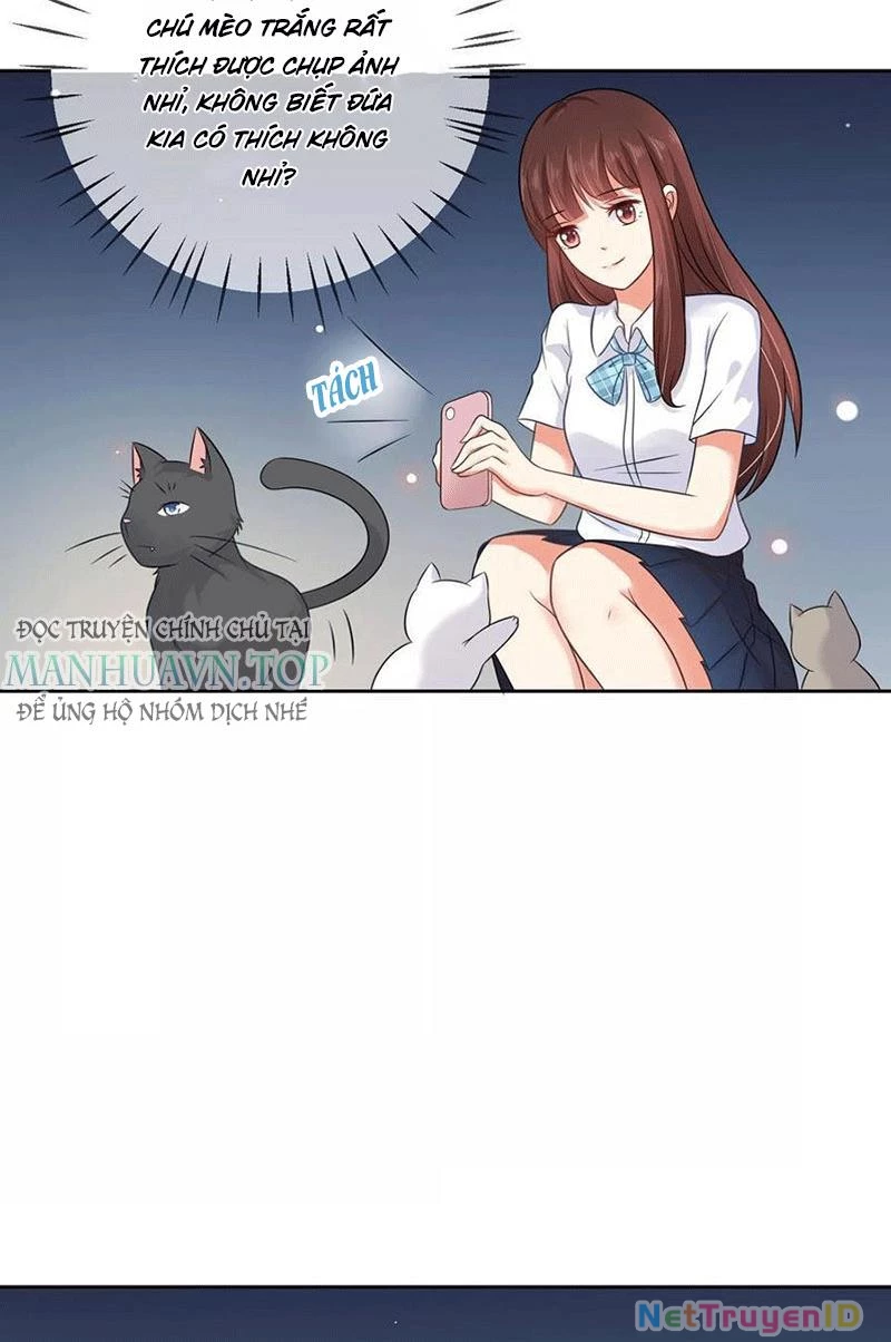 Bạn Cùng Bàn Của Tôi Nổi Tiếng Là Mèo Chapter 3 - 9