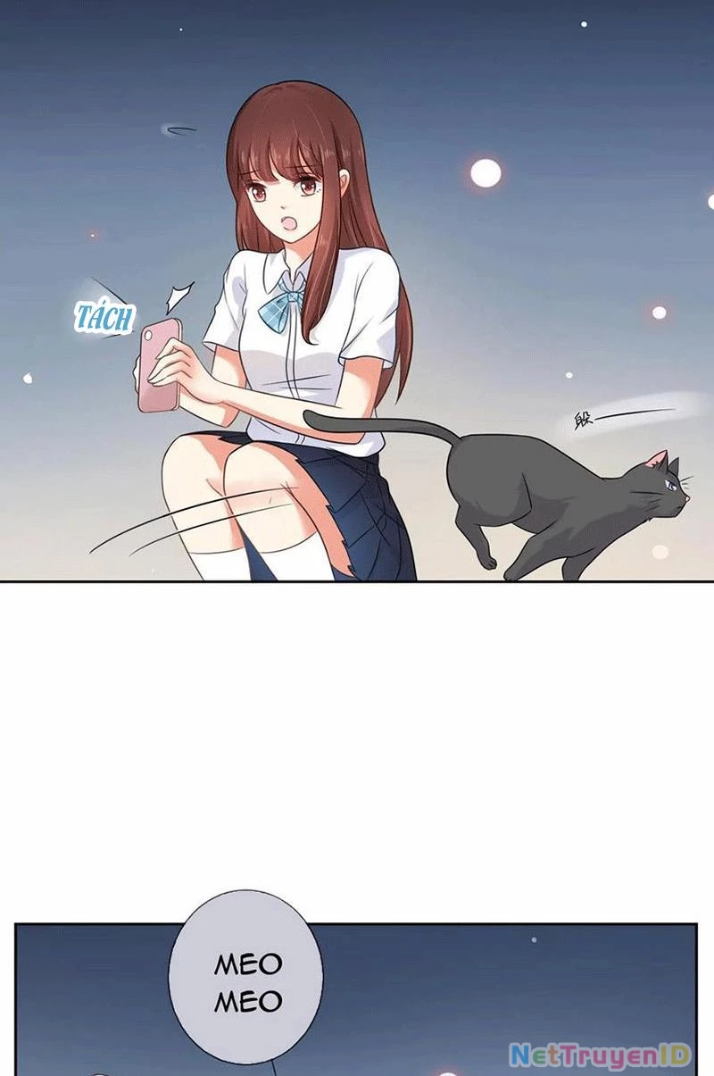 Bạn Cùng Bàn Của Tôi Nổi Tiếng Là Mèo Chapter 3 - 10