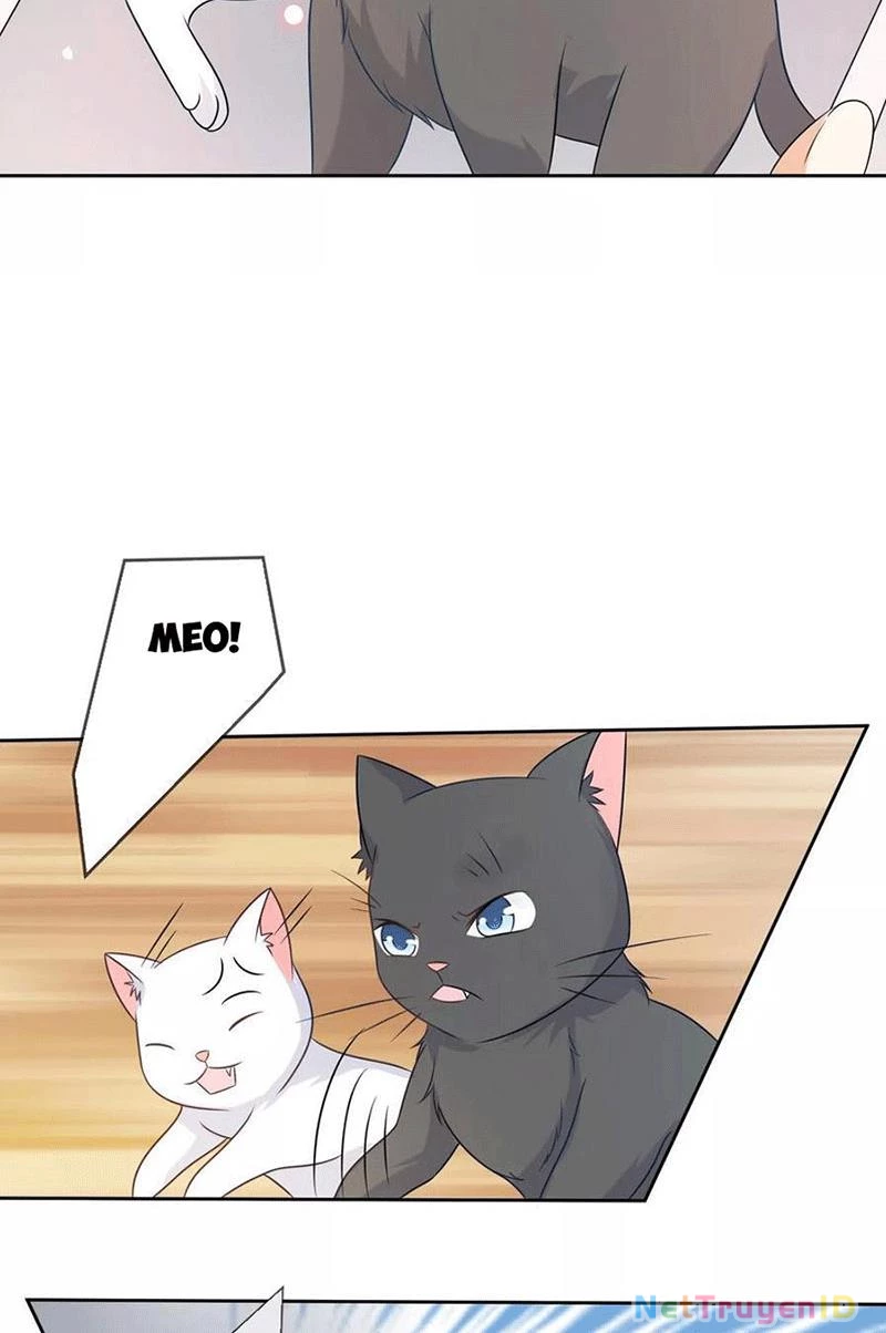 Bạn Cùng Bàn Của Tôi Nổi Tiếng Là Mèo Chapter 3 - 13