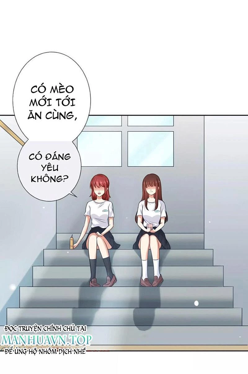 Bạn Cùng Bàn Của Tôi Nổi Tiếng Là Mèo Chapter 3 - 20
