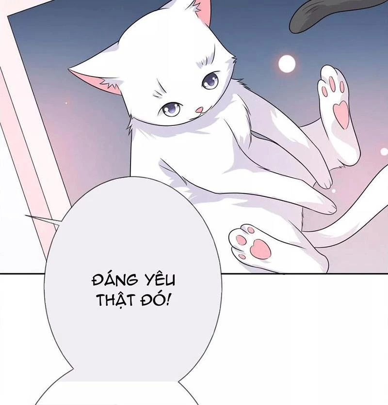 Bạn Cùng Bàn Của Tôi Nổi Tiếng Là Mèo Chapter 3 - 23