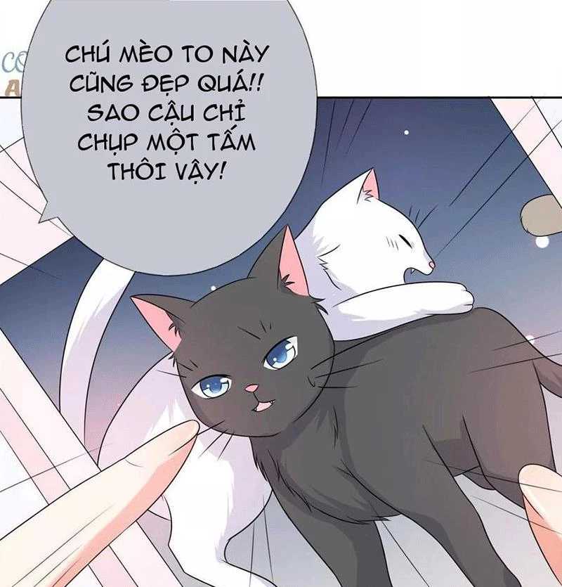 Bạn Cùng Bàn Của Tôi Nổi Tiếng Là Mèo Chapter 3 - 24