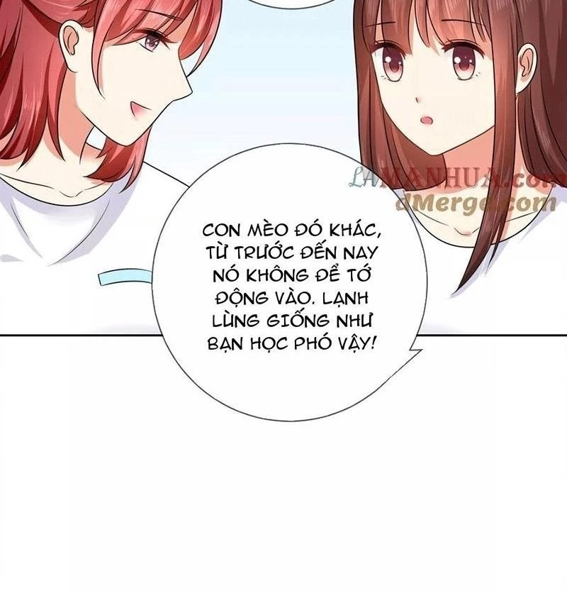 Bạn Cùng Bàn Của Tôi Nổi Tiếng Là Mèo Chapter 3 - 27