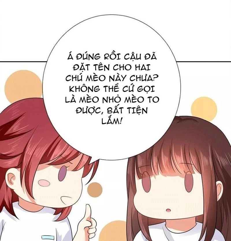 Bạn Cùng Bàn Của Tôi Nổi Tiếng Là Mèo Chapter 3 - 29