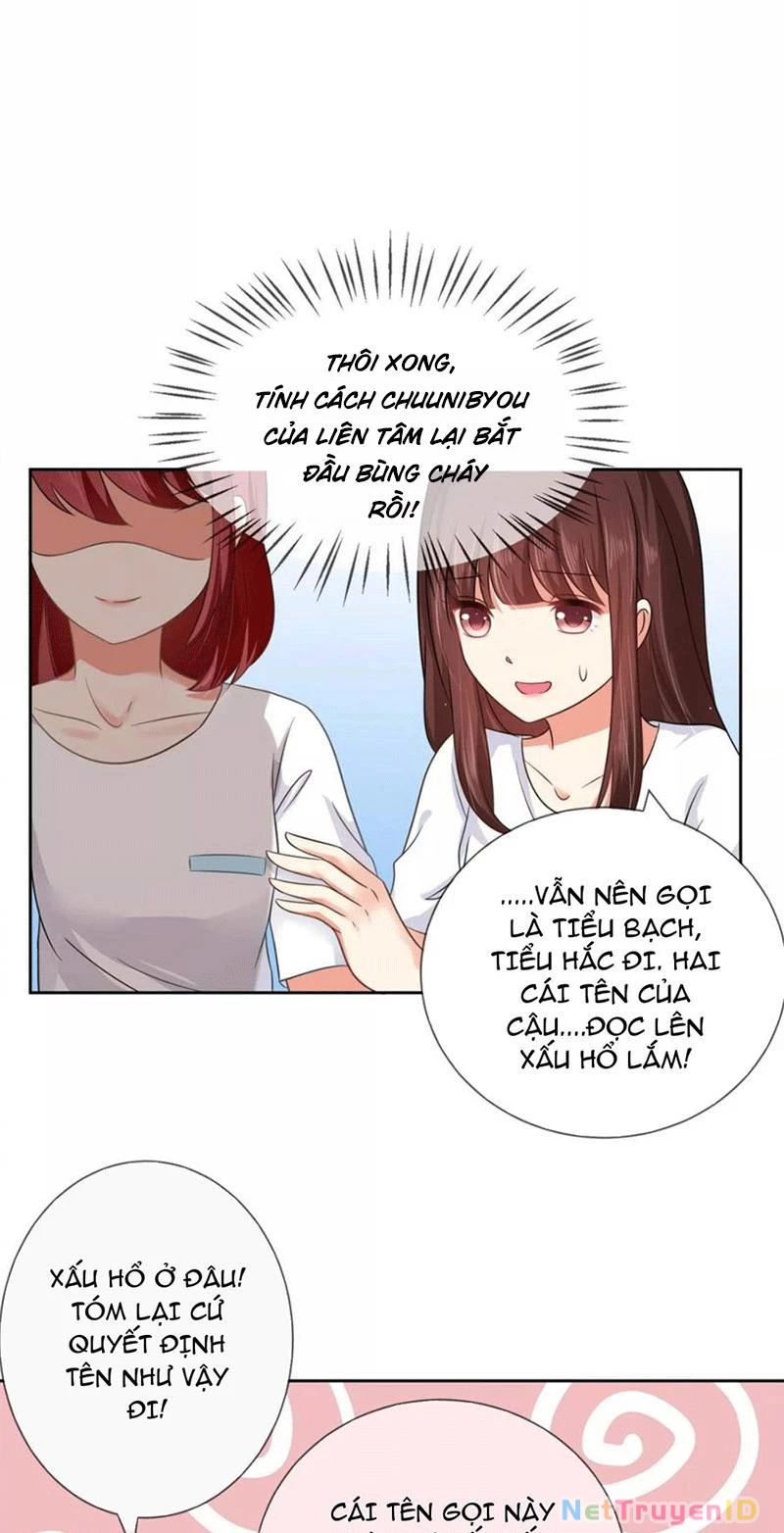 Bạn Cùng Bàn Của Tôi Nổi Tiếng Là Mèo Chapter 4 - 3