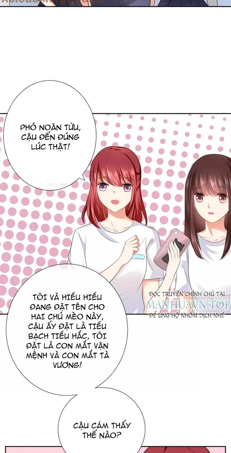 Bạn Cùng Bàn Của Tôi Nổi Tiếng Là Mèo Chapter 4 - 6