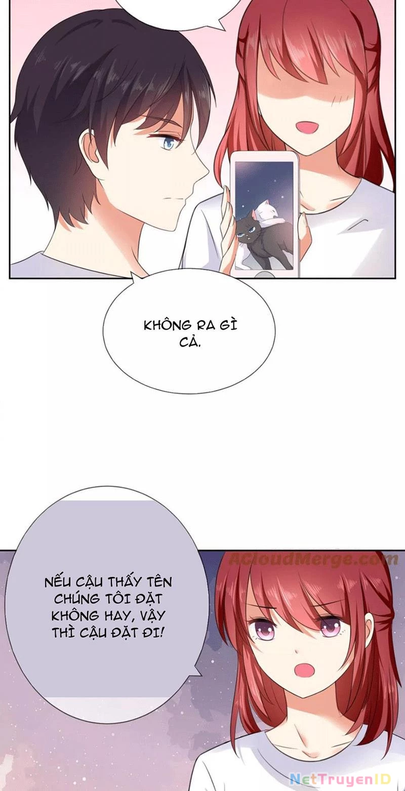 Bạn Cùng Bàn Của Tôi Nổi Tiếng Là Mèo Chapter 4 - 7
