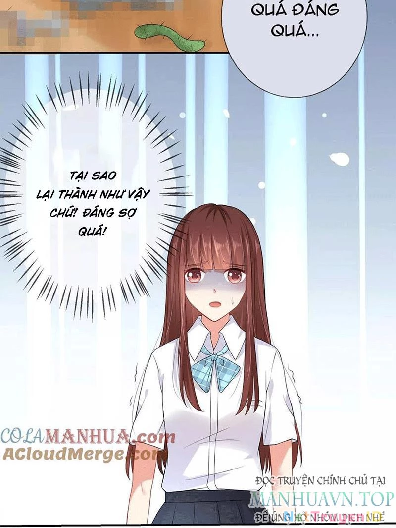 Bạn Cùng Bàn Của Tôi Nổi Tiếng Là Mèo Chapter 5 - 10
