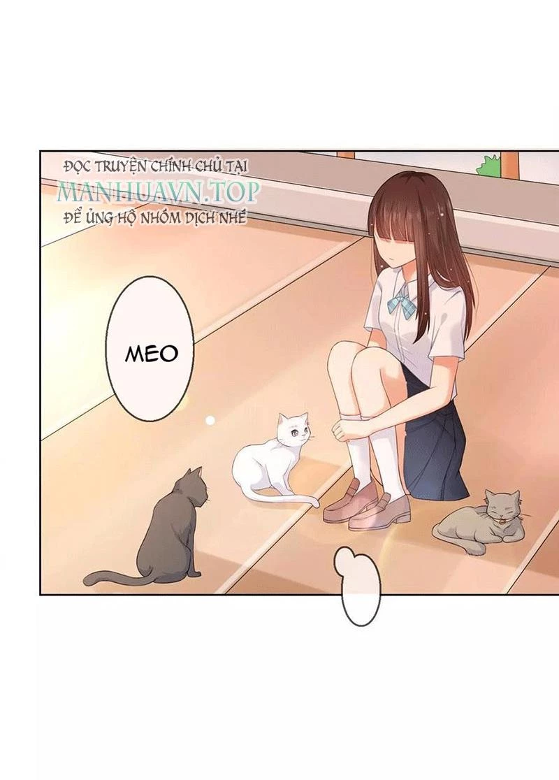 Bạn Cùng Bàn Của Tôi Nổi Tiếng Là Mèo Chapter 5 - 36