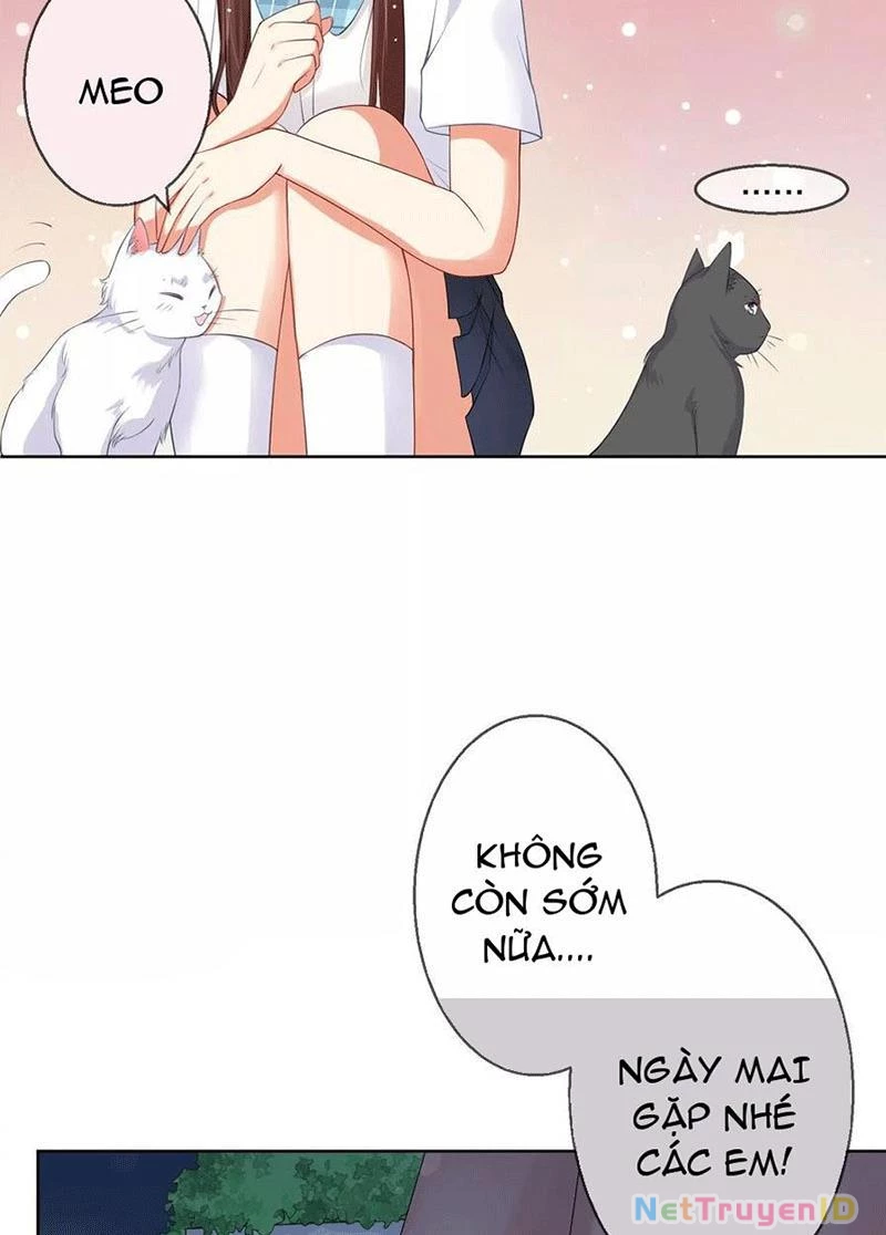 Bạn Cùng Bàn Của Tôi Nổi Tiếng Là Mèo Chapter 5 - 40