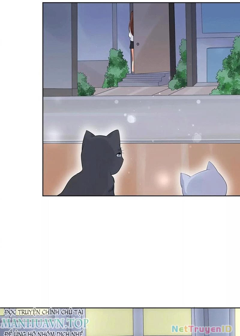 Bạn Cùng Bàn Của Tôi Nổi Tiếng Là Mèo Chapter 5 - 42