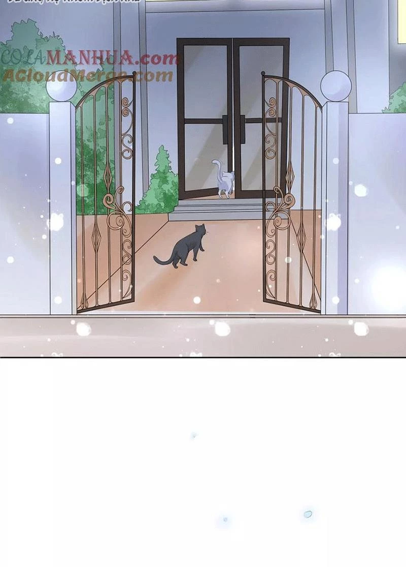 Bạn Cùng Bàn Của Tôi Nổi Tiếng Là Mèo Chapter 5 - 43