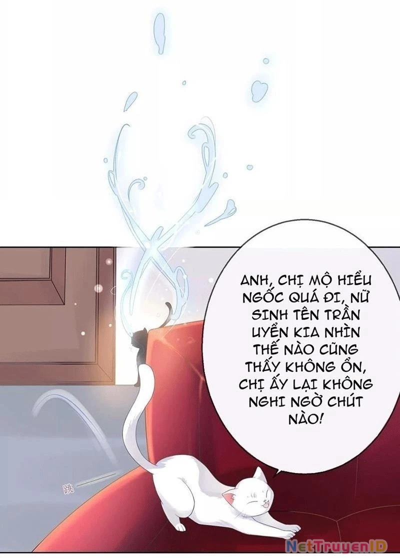 Bạn Cùng Bàn Của Tôi Nổi Tiếng Là Mèo Chapter 5 - 44