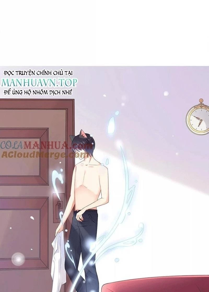 Bạn Cùng Bàn Của Tôi Nổi Tiếng Là Mèo Chapter 5 - 45
