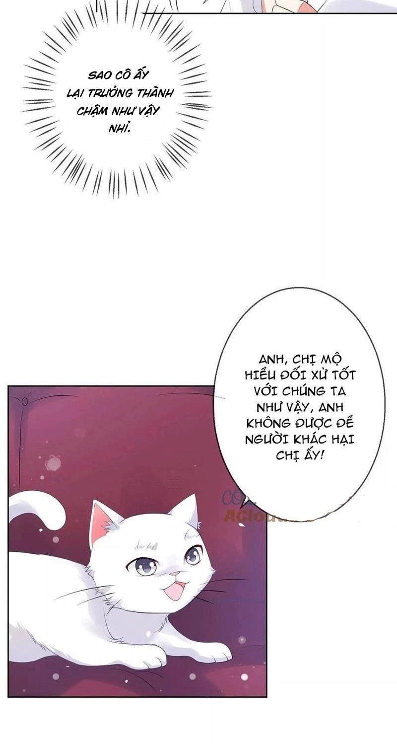 Bạn Cùng Bàn Của Tôi Nổi Tiếng Là Mèo Chapter 5 - 47