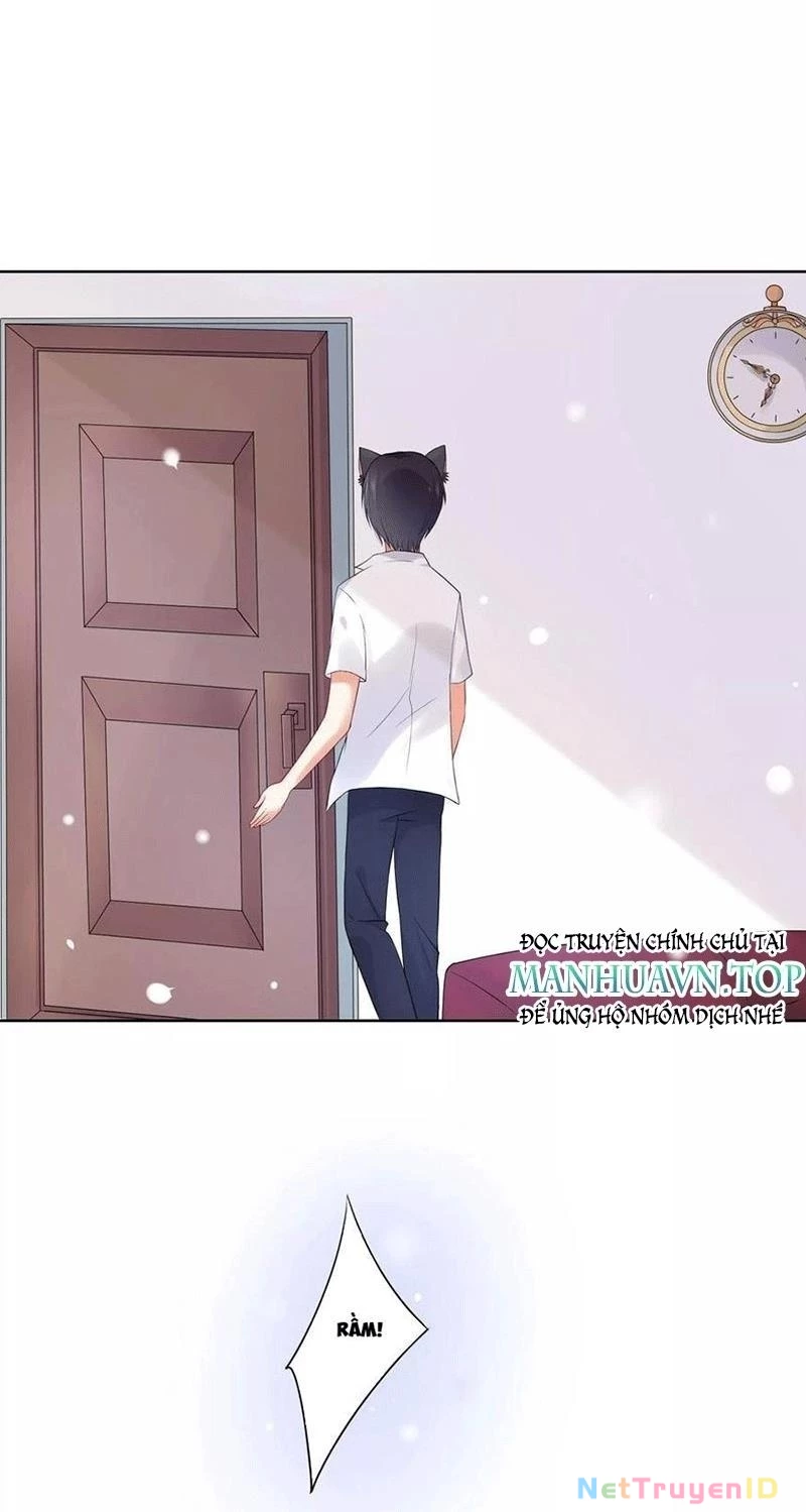 Bạn Cùng Bàn Của Tôi Nổi Tiếng Là Mèo Chapter 5 - 48