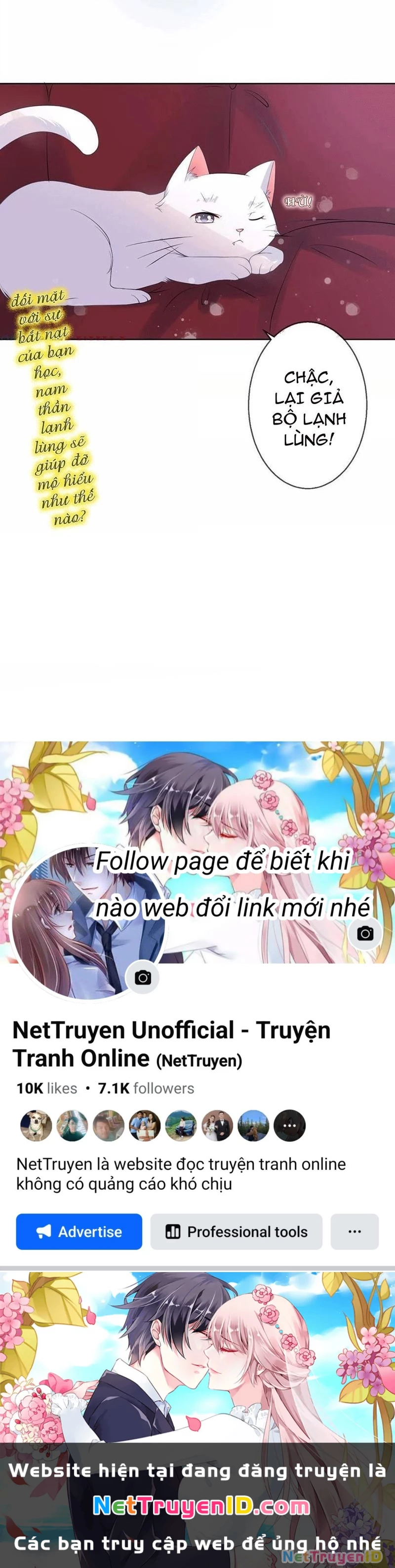 Bạn Cùng Bàn Của Tôi Nổi Tiếng Là Mèo Chapter 5 - 49
