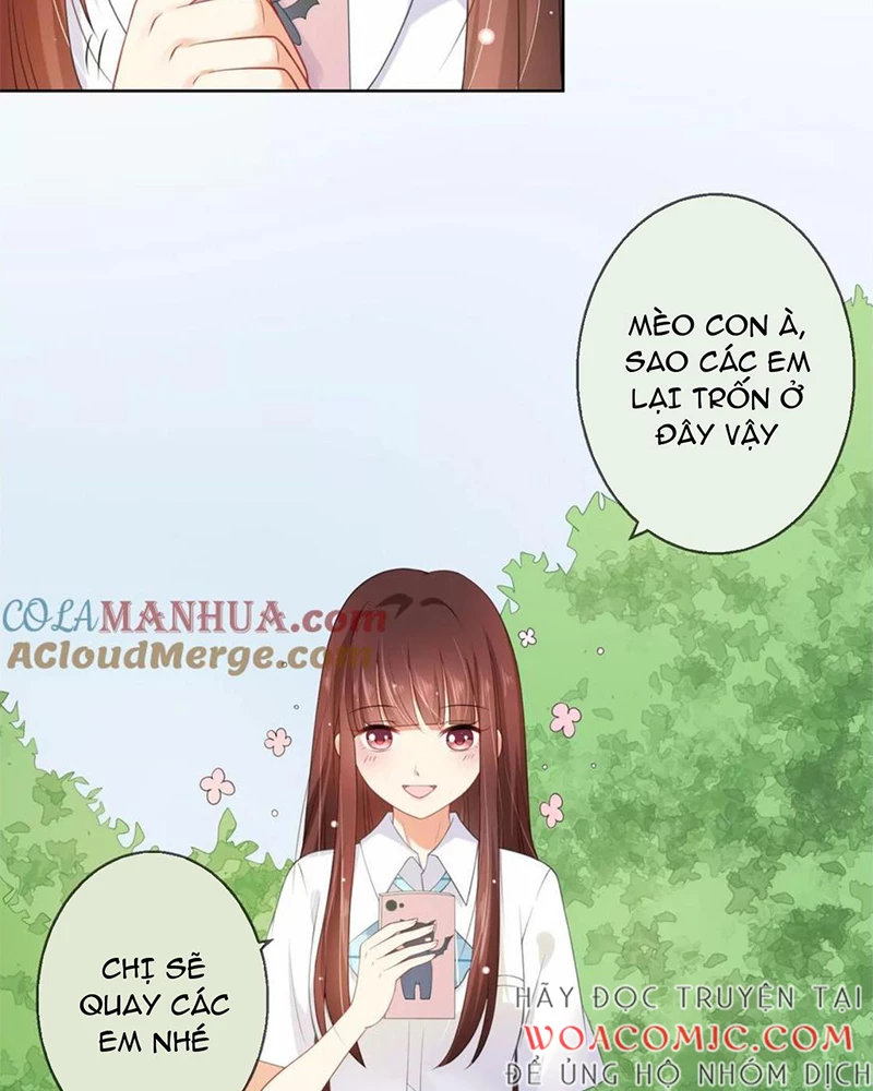 Bạn Cùng Bàn Của Tôi Nổi Tiếng Là Mèo Chapter 6 - 3