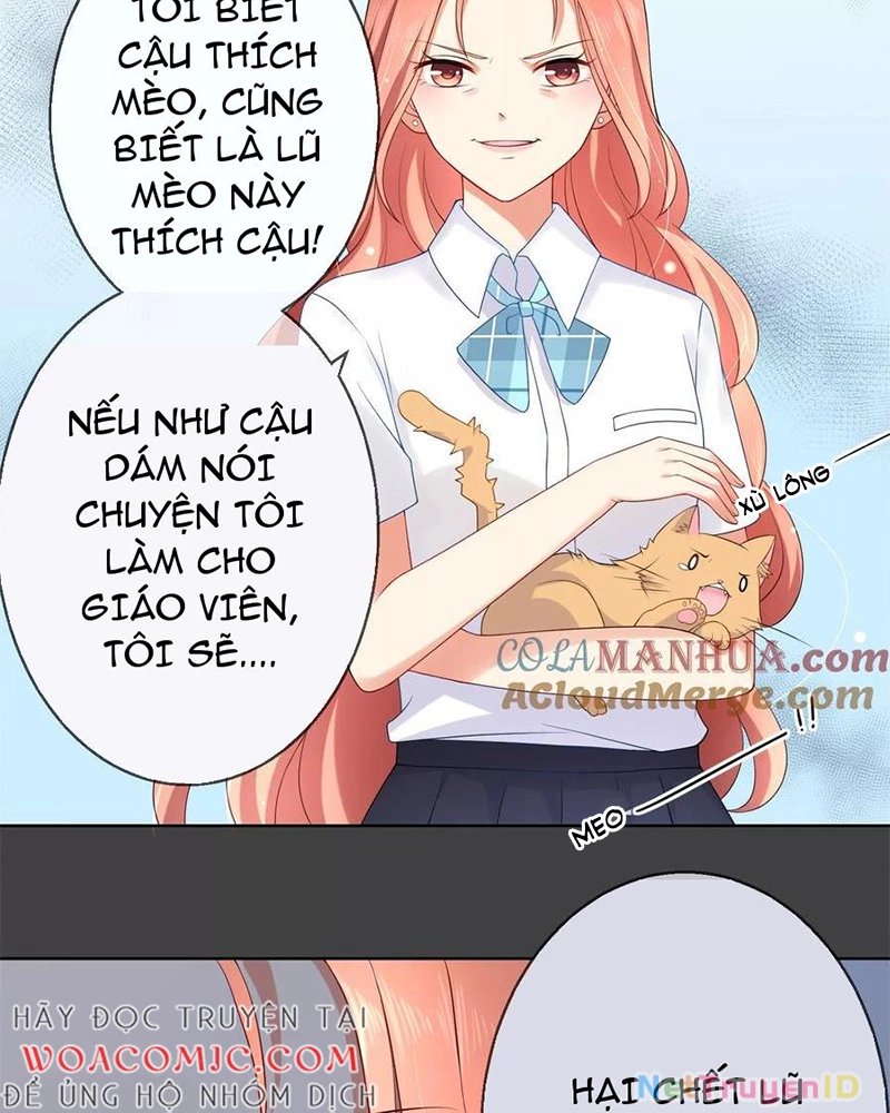 Bạn Cùng Bàn Của Tôi Nổi Tiếng Là Mèo Chapter 7 - 3