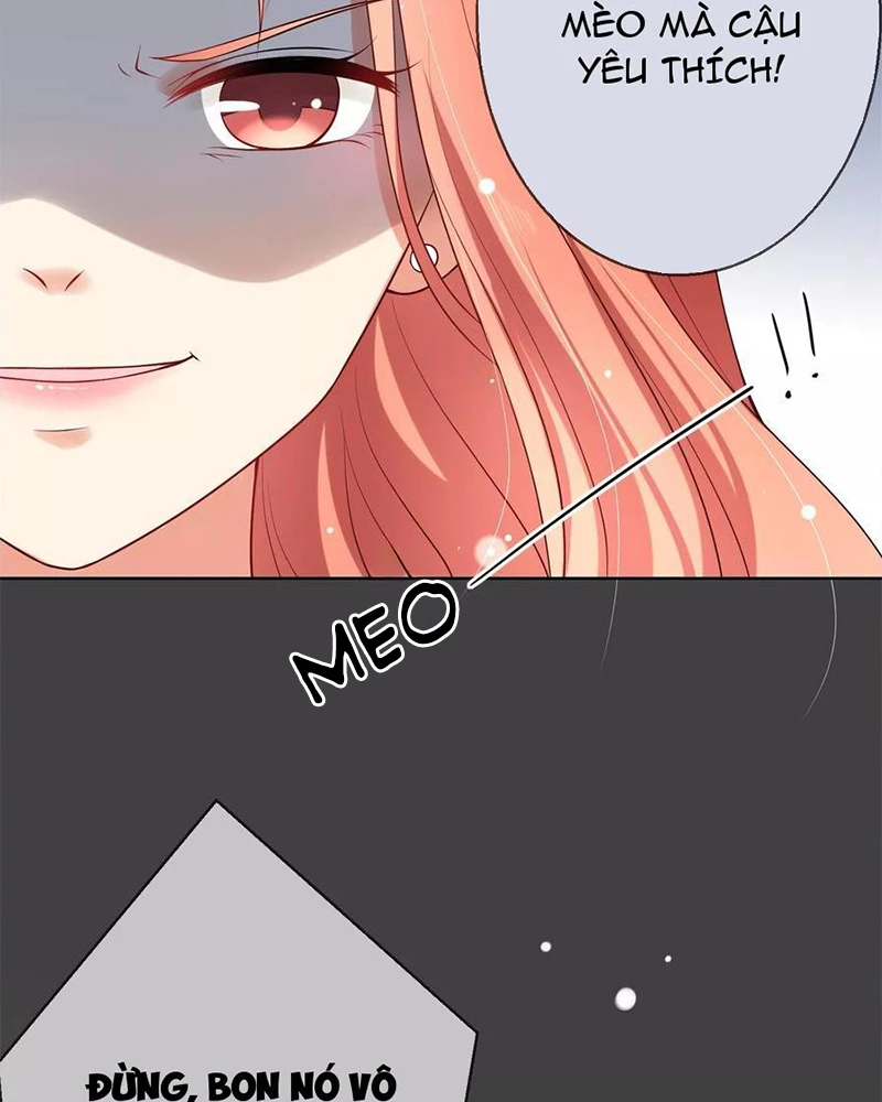 Bạn Cùng Bàn Của Tôi Nổi Tiếng Là Mèo Chapter 7 - 4