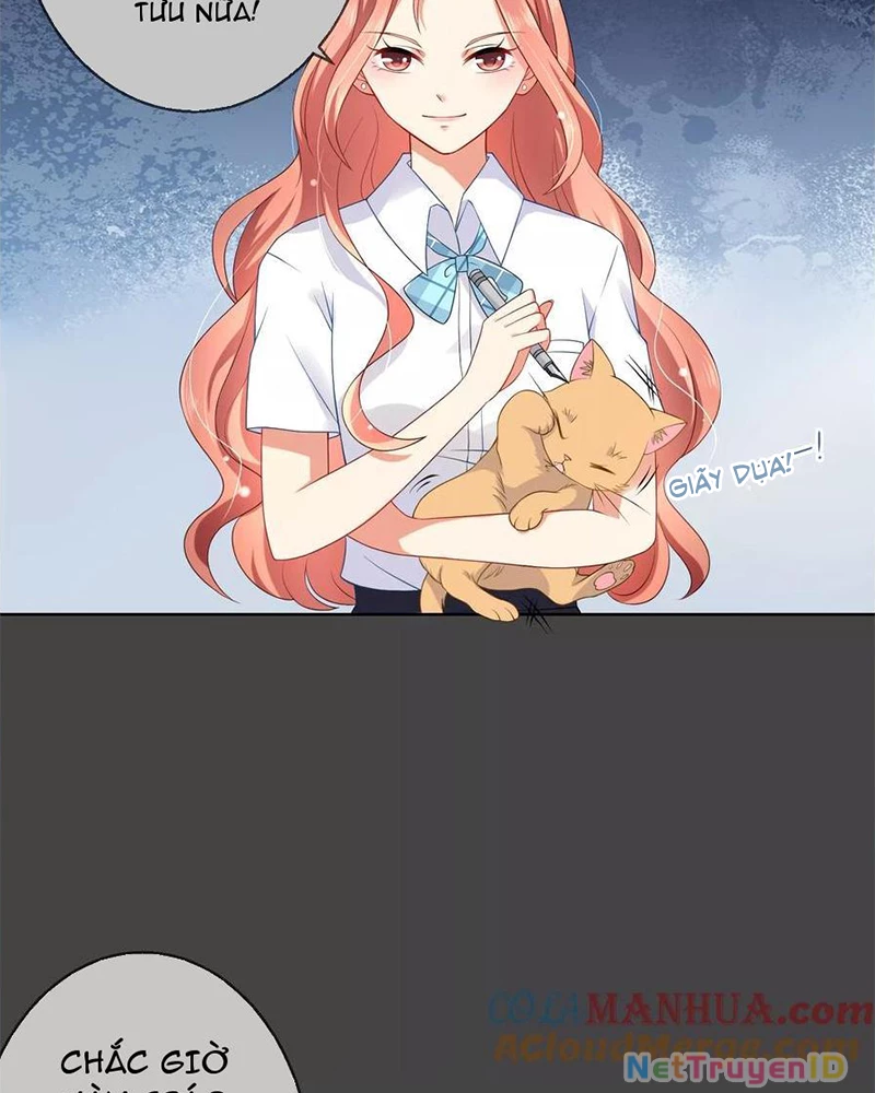 Bạn Cùng Bàn Của Tôi Nổi Tiếng Là Mèo Chapter 7 - 8